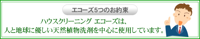 ハウスクリーニングエコーズは人と地球にやさしい天然植物洗剤を中心に使用