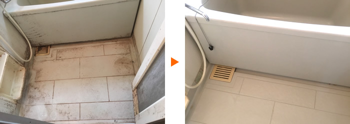 浴室全体のカビ除去のクリーニング例