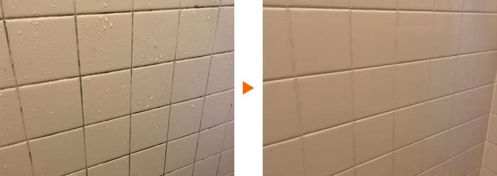 浴室壁のタイル目地のカビの除去例