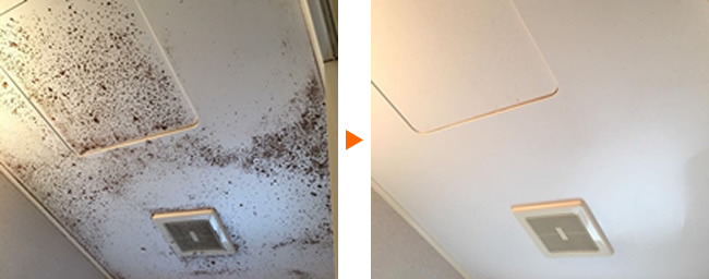 浴室天井のカビクリーニング　施工例
