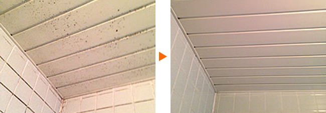 浴室天井のカビ　クリーニング例